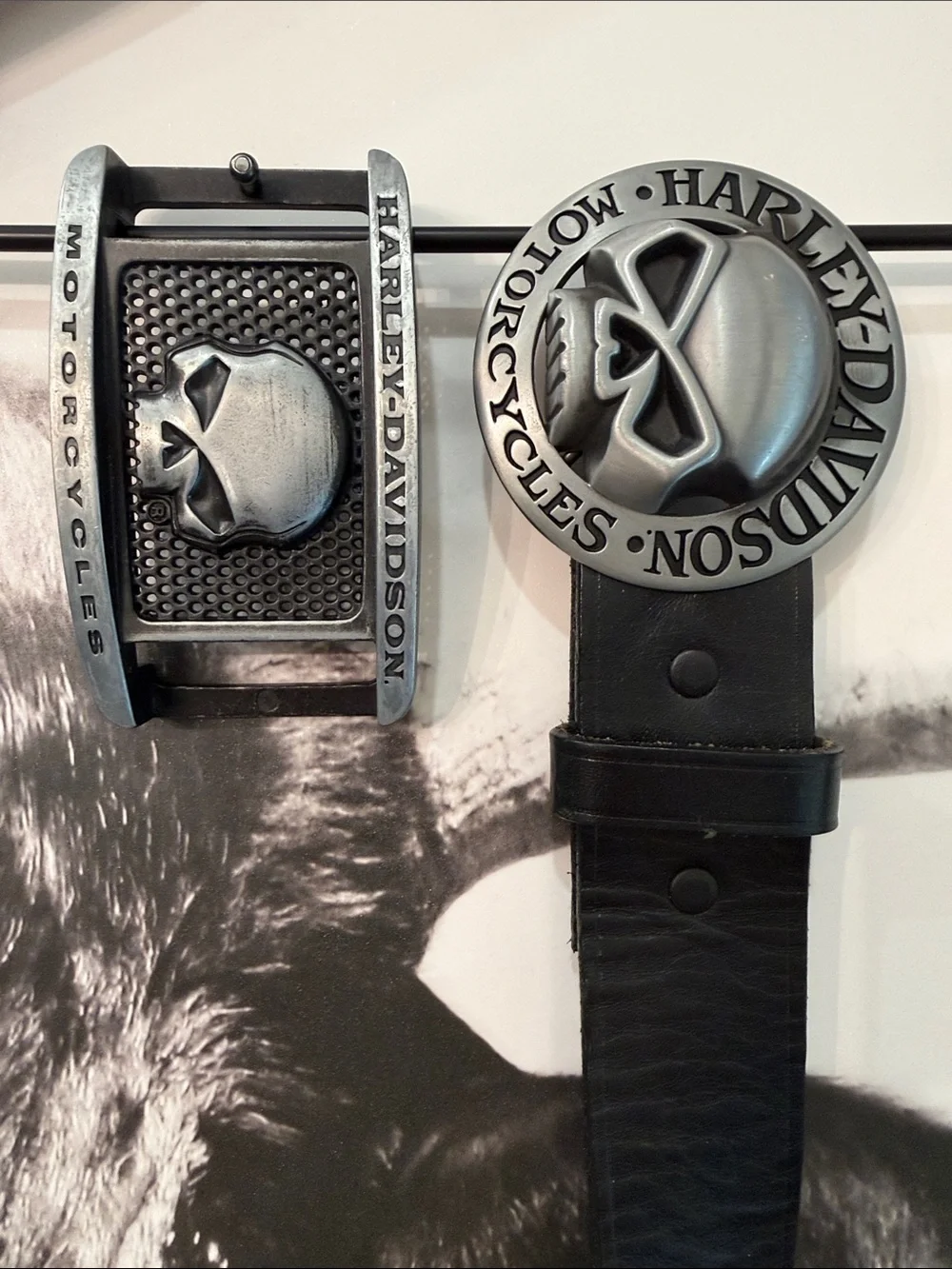 💀 Harley-Davidson Interchangeable Buckle Leather Belt